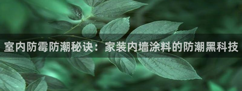 和记网页：室内防霉防潮秘诀：家装内墙涂料的防潮黑科技