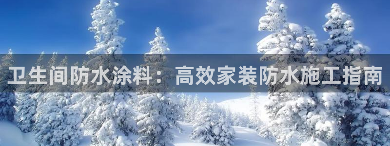 和记官网官方网站：卫生间防水涂料：高效家装防水施工指南