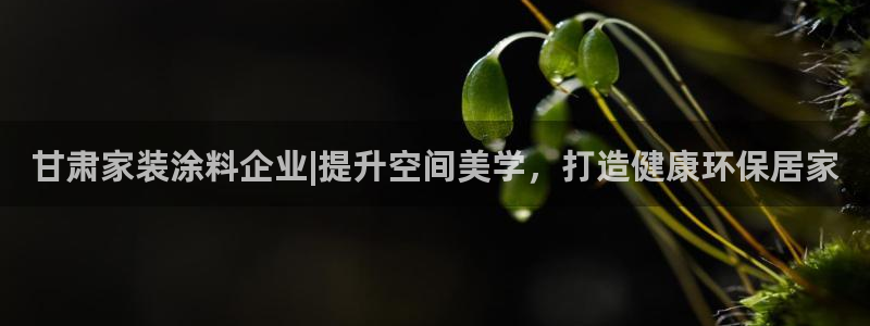 和记ag旗舰