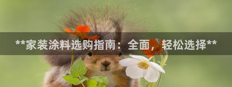和记 中国官网：**家装涂料选购指南：全面，轻松选择**