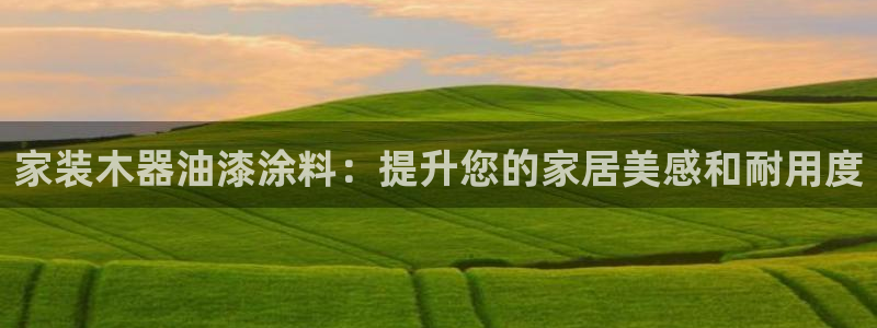 和记ag网址：家装木器油漆涂料：提升您的家居美感和耐用度