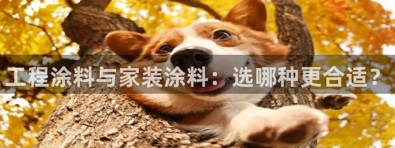 和记ag网页版：工程涂料与家装涂料：选哪种更合适？