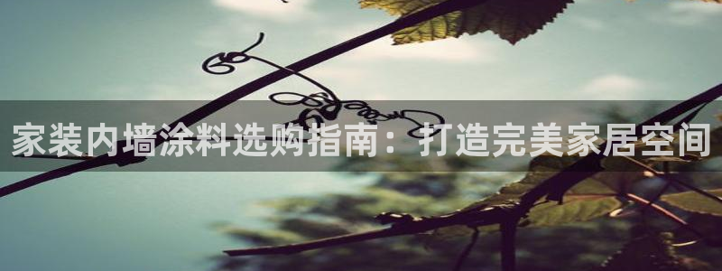江苏和记餐饮有限公司：家装内墙涂料选购指南：打造完美家居空间