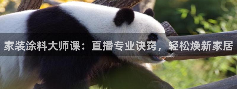 和记app官网：家装涂料大师课：直播专业诀窍，轻松焕新家居