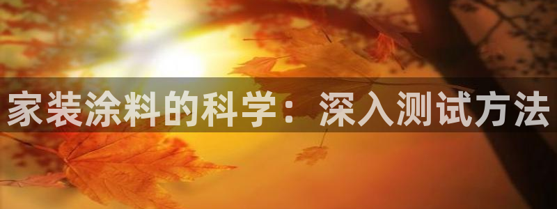 和记港口：家装涂料的科学：深入测试方法