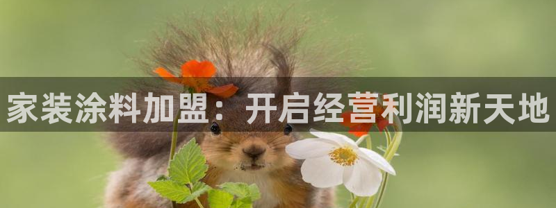 和记ag网址：家装涂料加盟：开启经营利润新天地