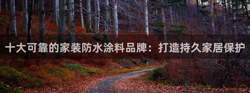 上海和记餐饮：十大可靠的家装防水涂料品牌：打造持久家居保护