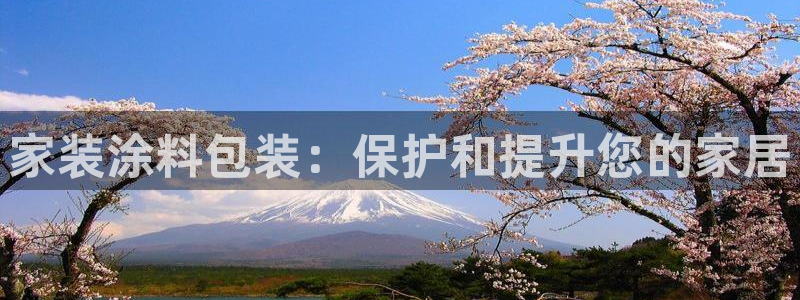 和记ag登录：家装涂料包装：保护和提升您的家居