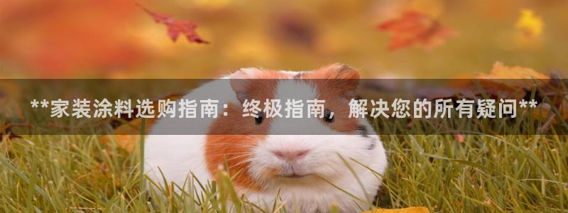 和记官网 公司