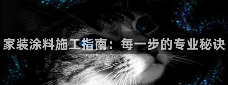 和记官网 公司：家装涂料施工指南：每一步的专业秘诀