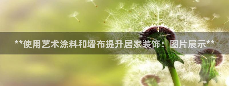 和记国际：**使用艺术涂料和墙布提升居家装饰：图片展示**