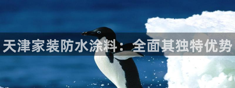 和记h8