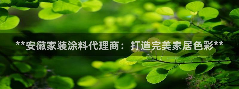 和记官方网址：**安徽家装涂料代理商：打造完美家居色彩**