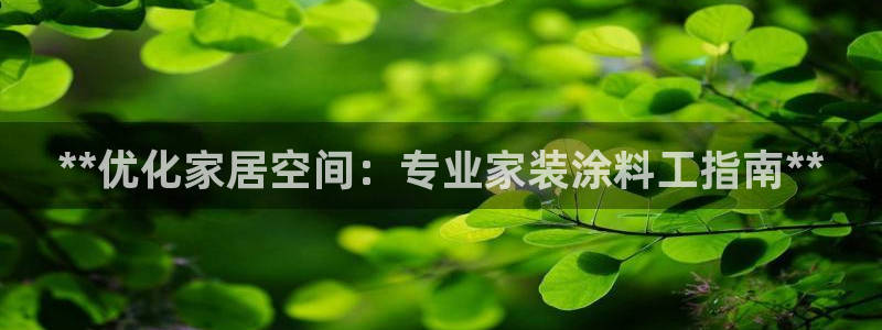和记国际听