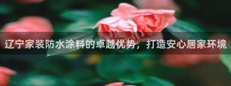 和记国际开户网站