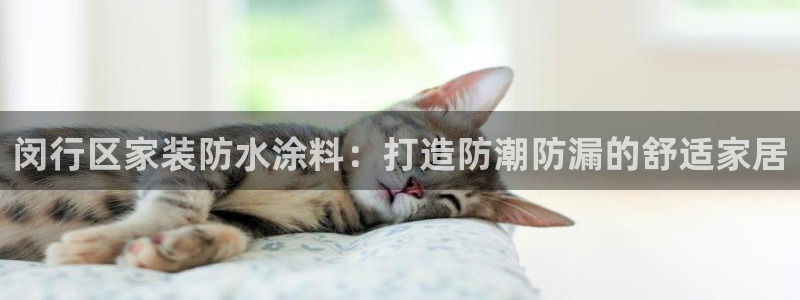 和记h8
