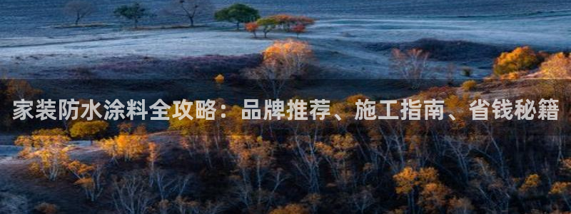 和记国际电讯市值：家装防水涂料全攻略：品牌推荐、施工指南、省钱秘籍