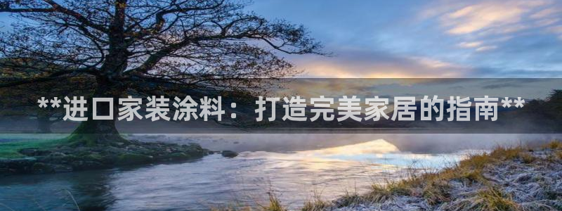 和记hj：**进口家装涂料：打造完美家居的指南**