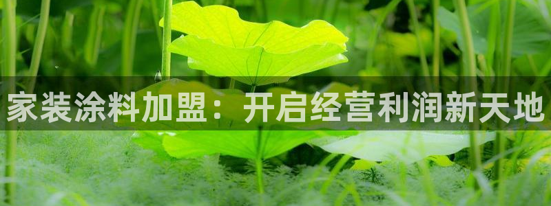 和记ag旗舰国际：家装涂料加盟：开启经营利润新天地