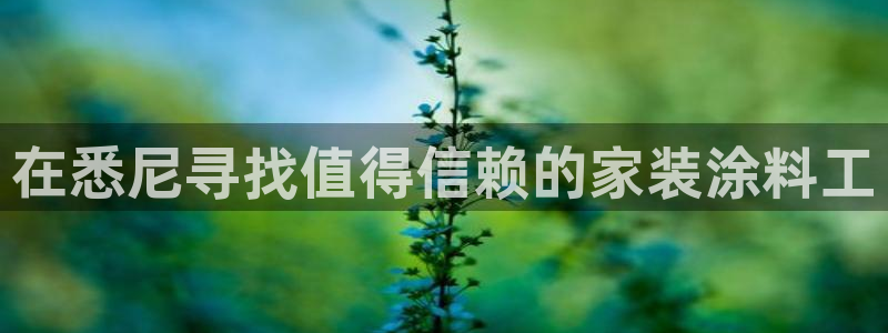 和记pc：在悉尼寻找值得信赖的家装涂料工