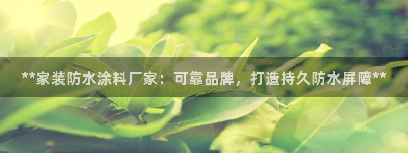 和记AG旗舰：**家装防水涂料厂家：可靠品牌，打造持久防水屏障**