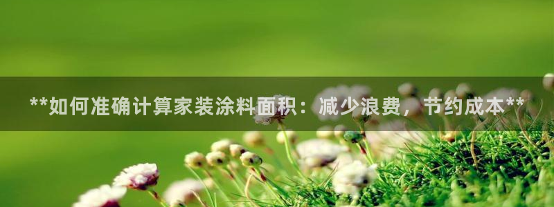 深圳和记科技有限公司：**如何准确计算家装涂料面积：减少浪费，节约成本**