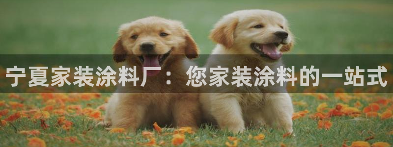 和记 中国官网：宁夏家装涂料厂：您家装涂料的一站式