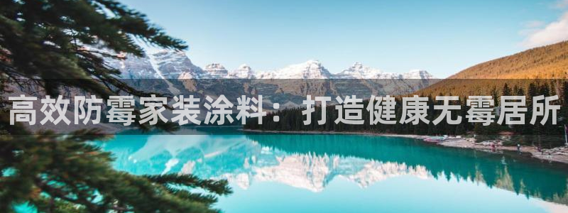 和记h8：高效防霉家装涂料：打造健康无霉居所