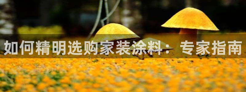 和记官方直营注册导航