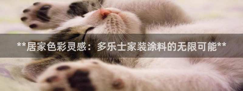 和记官网官方网站：**居家色彩灵感：多乐士家装涂料的无限可能**