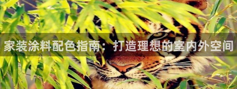 和记官网[中国]官方网站：家装涂料配色指南：打造理想的室内外空间