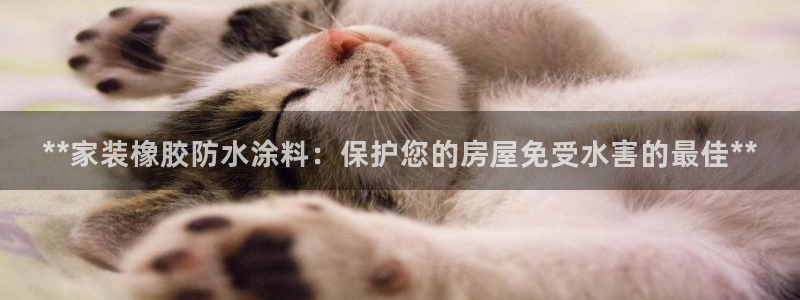 和记AG网站：**家装橡胶防水涂料：保护您的房屋免受水害的最佳**