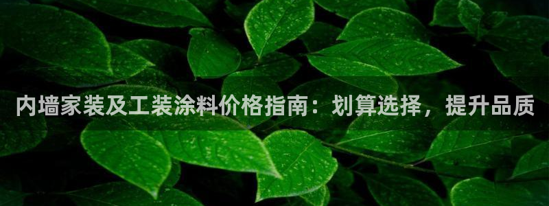 和记 中国官网：内墙家装及工装涂料价格指南：划算选择，提升品质