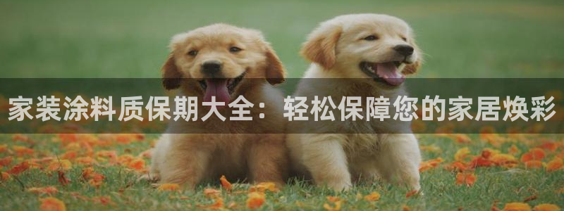 和记h88最新客户端下载：家装涂料质保期大全：轻松保障您的家居焕彩