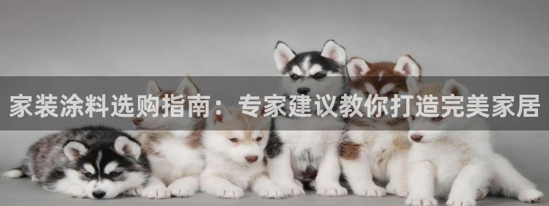 和记平台：家装涂料选购指南：专家建议教你打造完美家居