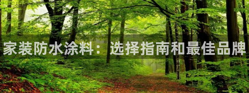和记h188：家装防水涂料：选择指南和最佳品牌