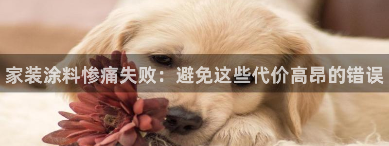 和记平台登陆：家装涂料惨痛失败：避免这些代价高昂的错误