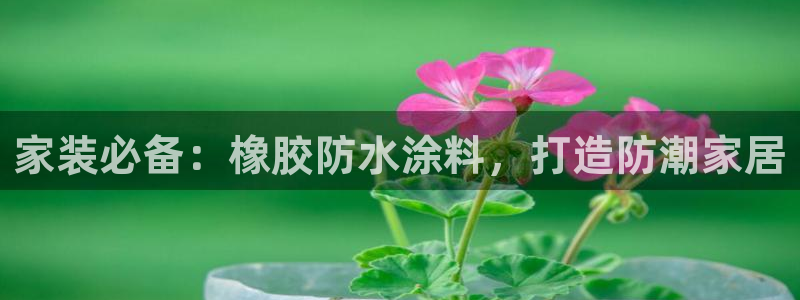和记网页版：家装必备：橡胶防水涂料，打造防潮家居