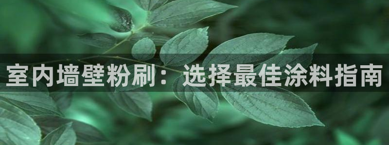 和记下载：室内墙壁粉刷：选择最佳涂料指南