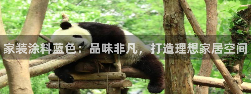 和记国际：家装涂料蓝色：品味非凡，打造理想家居空间