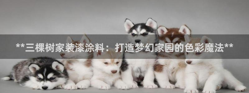 和记官网 公司：**三棵树家装漆涂料：打造梦幻家园的色彩魔法**