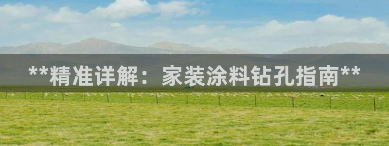 和记ag登录：**精准详解：家装涂料钻孔指南**