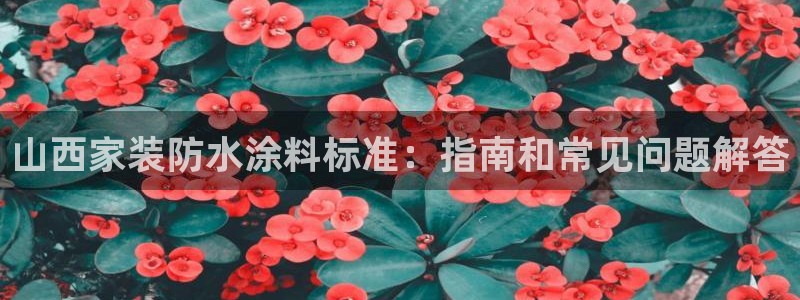 和记h8：山西家装防水涂料标准：指南和常见问题解答