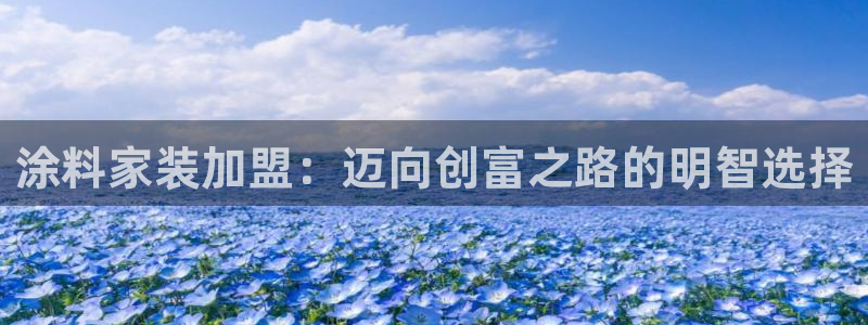 和记 官网：涂料家装加盟：迈向创富之路的明智选择