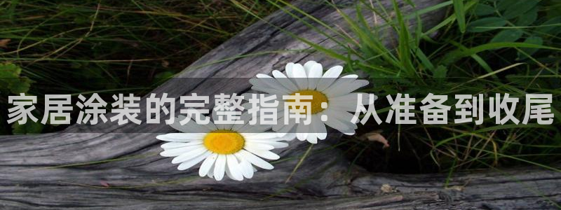 和记注册有什么送的：家居涂装的完整指南：从准备到收尾