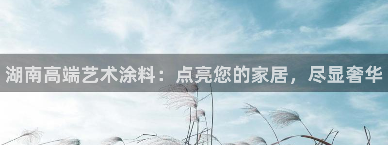 和记ag登录：湖南高端艺术涂料：点亮您的家居，尽显奢华