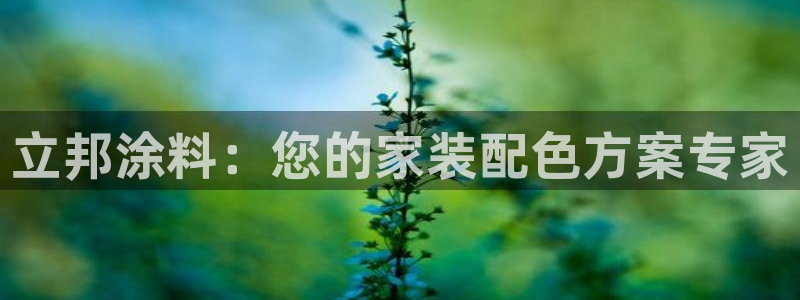 和记官方直营：立邦涂料：您的家装配色方案专家