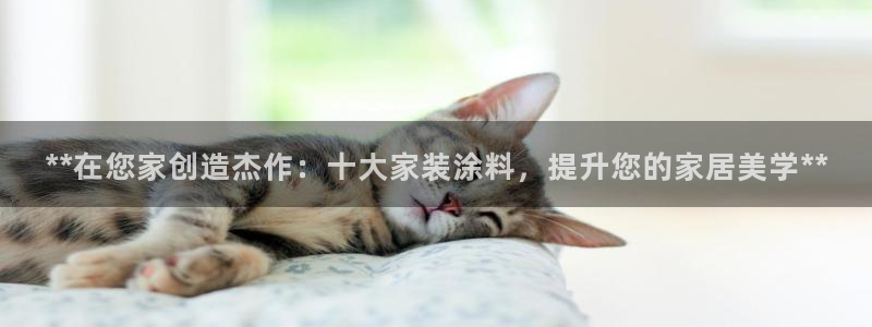 和记网页：**在您家创造杰作：十大家装涂料，提升您的家居美学**