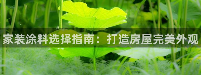 和记网页版登陆：家装涂料选择指南：打造房屋完美外观