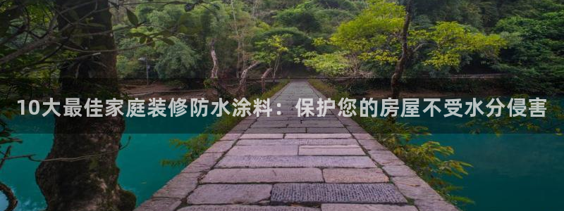 和记广告女主角：10大最佳家庭装修防水涂料：保护您的房屋不受水分侵害